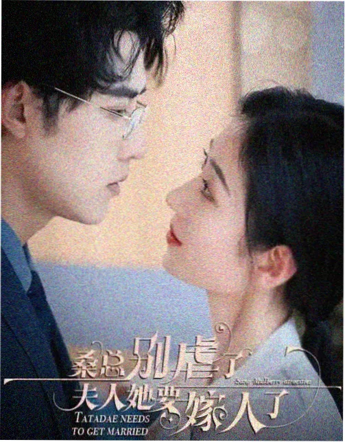 半城烟雨 民国往事剧集