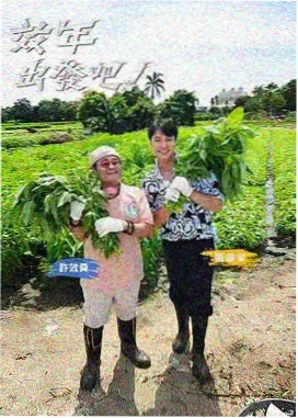 光影对话 电影美学综艺